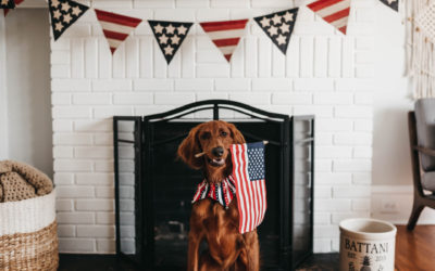 4th of July tips for pet owners. #WithCBD